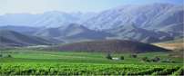 Robertson Valley 